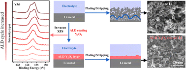 Graphical abstract: Atomic layer deposition of yttrium oxide as a protective coating for lithium metal anodes