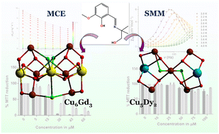Graphical abstract: Synthesis and characterization of two self-assembled [Cu6Gd3] and [Cu5Dy2] complexes exhibiting the magnetocaloric effect, slow relaxation of magnetization, and anticancer activity