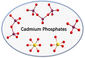 Graphical abstract: Cadmium phosphates with two types of fundamental building units and a wide ultraviolet transparency window