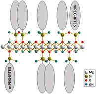 Graphical abstract: In situ preparation of compounds using silanized mPEG inspired by talc-like structures