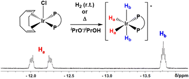 Graphical abstract: IrI(η4-diene) precatalyst activation by strong bases: formation of an anionic IrIII tetrahydride