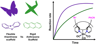 Graphical abstract: Distal scaffold flexibility accelerates ligand substitution kinetics in manganese(i) tricarbonyls: flexible thianthrene versus rigid anthracene scaffolds
