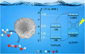 Graphical abstract: Enhancement of photoelectrocatalytic performance of copper cobaltate nanoflowers modified with 5,10,15,20-tetrakis(4-carboxylphenyl)porphyrin for methanol oxidation under light