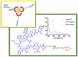 Graphical abstract: Synthesis of temporin L hydroxamate-based peptides and evaluation of their coordination properties with iron(iii )