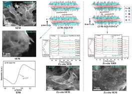 Graphical abstract: Synergistic zinc-ion storage enabled by Cu ion in anthraquinone-preinserted vanadate: structural integrity and H+-promoted reversible phase conversion