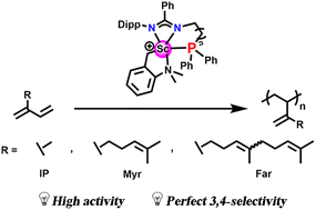 Graphical abstract: Phosphine-functionalized amidinate ligated rare-earth metal complexes for highly 3,4-selective living polymerization of 1,3-conjugated dienes