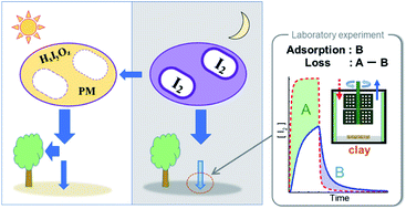 Graphical abstract: A laboratory study on the uptake of gaseous molecular iodine by clay minerals at different relative humidities