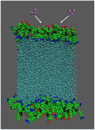 Graphical abstract: The influence of saturation on the surface structure of mixed fatty acid-on-water aerosol: a molecular dynamics study