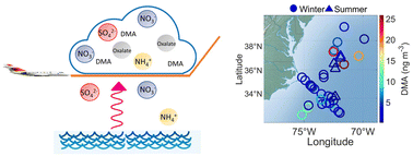 Graphical abstract: Dimethylamine in cloud water: a case study over the northwest Atlantic Ocean