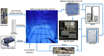 Graphical abstract: Formation of secondary organic aerosol during the dark-ozonolysis of α-humulene