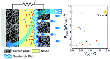 Graphical abstract: Hydrovoltaic energy harvesting from moisture flow using an ionic polymer–hydrogel–carbon composite