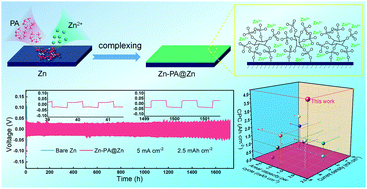 Graphical abstract: Navigating fast and uniform zinc deposition via a versatile metal–organic complex interphase