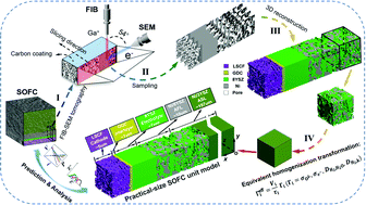 Graphical abstract: A novel multi-physics coupled heterogeneous single-cell numerical model for solid oxide fuel cell based on 3D microstructure reconstructions