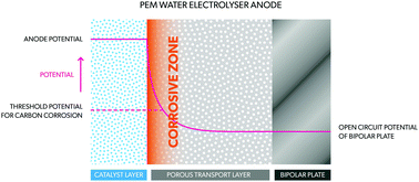 Graphical abstract: Assessing potential profiles in water electrolysers to minimise titanium use