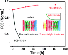 Graphical abstract: Light-induced beneficial ion accumulation for high-performance quasi-2D perovskite solar cells