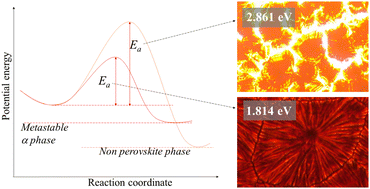 Graphical abstract: Thermally controlled growth of photoactive FAPbI3 films for highly stable perovskite solar cells