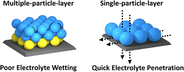 Graphical abstract: Low-tortuous and dense single-particle-layer electrode for high-energy lithium-sulfur batteries