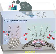 Graphical abstract: The insensitive cation effect on a single atom Ni catalyst allows selective electrochemical conversion of captured CO2 in universal media