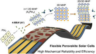 Graphical abstract: Polarity and moisture induced trans-grain-boundaries 2D/3D coupling structure for flexible perovskite solar cells with high mechanical reliability and efficiency