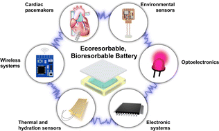 Graphical abstract: High performance dual-electrolyte magnesium–iodine batteries that can harmlessly resorb in the environment or in the body