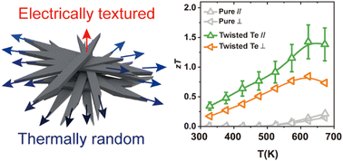 Graphical abstract: Twisted grain boundary leads to high thermoelectric performance in tellurium crystals