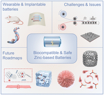 Graphical abstract: Opportunities for biocompatible and safe zinc-based batteries