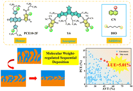 Graphical abstract: A molecular weight-regulated sequential deposition strategy enabling semitransparent organic solar cells with the light utilization efficiency of over 5%
