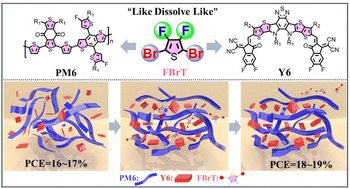 Graphical abstract: Halogenated thiophenes serve as solvent additives in mediating morphology and achieving efficient organic solar cells