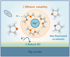 Graphical abstract: Non-nucleophilic electrolyte with non-fluorinated hybrid solvents for long-life magnesium metal batteries