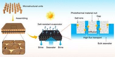 Graphical abstract: Ultra salt-resistant solar desalination system via large-scale easy assembly of microstructural units
