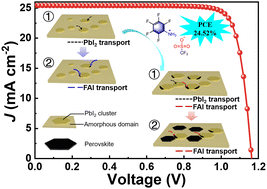 Graphical abstract: Modulation of nucleation and crystallization in PbI2 films promoting preferential perovskite orientation growth for efficient solar cells