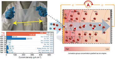 Graphical abstract: Ion engines in hydrogels boosting hydrovoltaic electricity generation