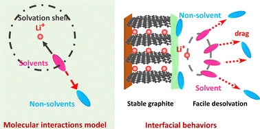 Graphical abstract: Dipole–dipole interactions for inhibiting solvent co-intercalation into a graphite anode to extend the horizon of electrolyte design