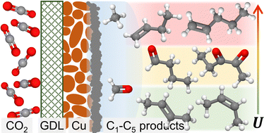 Graphical abstract: On the role of C4 and C5 products in electrochemical CO2 reduction via copper-based catalysts
