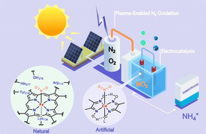 Graphical abstract: Cobaloximes: selective nitrite reduction catalysts for tandem ammonia synthesis