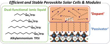 Graphical abstract: Alkylammonium bis(trifluoromethylsulfonyl)imide as a dopant in the hole-transporting layer for efficient and stable perovskite solar cells