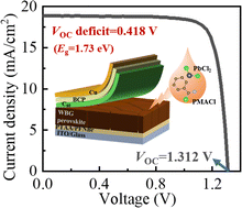 Graphical abstract: Reduced 0.418 V VOC-deficit of 1.73 eV wide-bandgap perovskite solar cells assisted by dual chlorides for efficient all-perovskite tandems