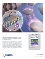 Graphical abstract: Back cover