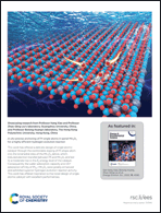 Graphical abstract: Inside back cover