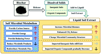 Graphical abstract: Effect of dissolved solids released from biochar on soil microbial metabolism
