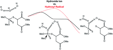 Graphical abstract: Towards a comprehensive understanding of malathion degradation: comparison of degradation reactions under alkaline and radical conditions