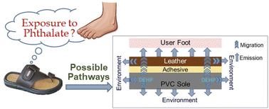 Graphical abstract: Phthalate migration and its effects on poly(vinyl chloride)-based footwear: pathways, influence of environmental conditions, and the possibility of human exposure