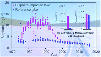 Graphical abstract: Mercury methylation and methylmercury demethylation in boreal lake sediment with legacy sulphate pollution