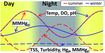 Graphical abstract: Diel mercury concentration variations in a mercury-impacted stream