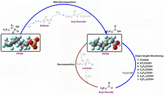 Graphical abstract: Thermal decomposition mechanism and kinetics of perfluorooctanoic acid (PFOA) and other perfluorinated carboxylic acids: a theoretical study