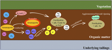 Graphical abstract: Nanoscale characterization of the sequestration and transformation of silver and arsenic in soil organic matter using atom probe tomography and transmission electron microscopy