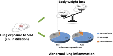 Graphical abstract: Weight loss and abnormal lung inflammation in mice chronically exposed to secondary organic aerosols