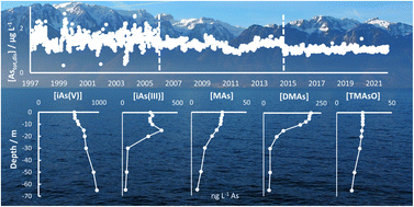 Graphical abstract: Arsenic in Lake Geneva (Switzerland, France): long term monitoring, and redox and methylation speciation in an As unpolluted, oligo-mesotrophic lake
