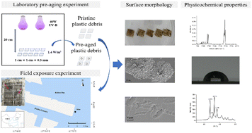 Graphical abstract: Field based studies on aging characteristics of pristine and aged plastic debris in a coastal environment, Bohai Bay, China