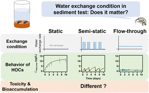 Graphical abstract: Influence of water exchange rates on toxicity and bioaccumulation of hydrophobic organic chemicals in sediment toxicity tests